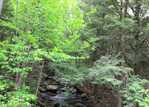 198 Boys Camp Road Enfield NH 03748