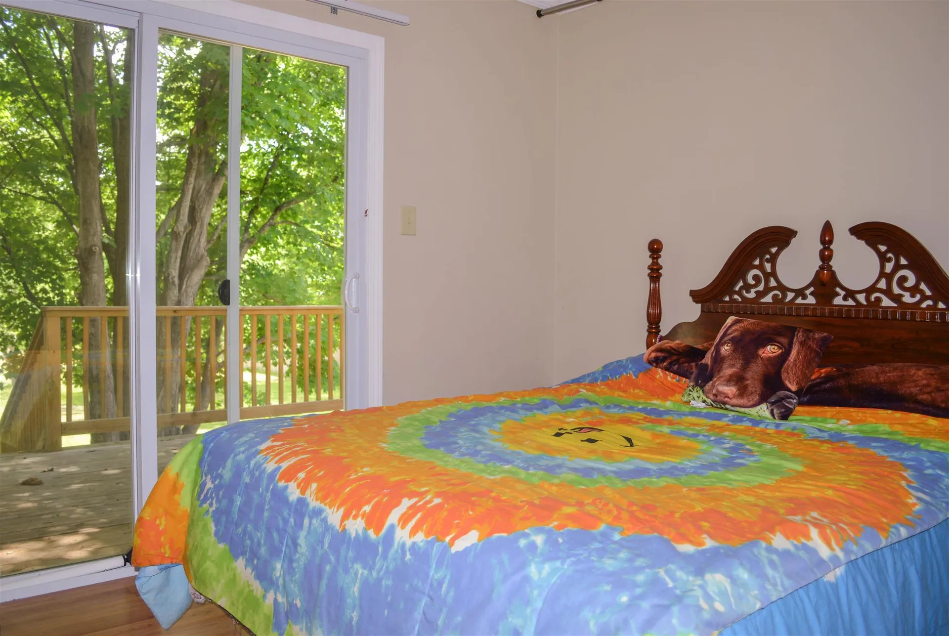 17 N Winchester Street Swanzey NH 03446