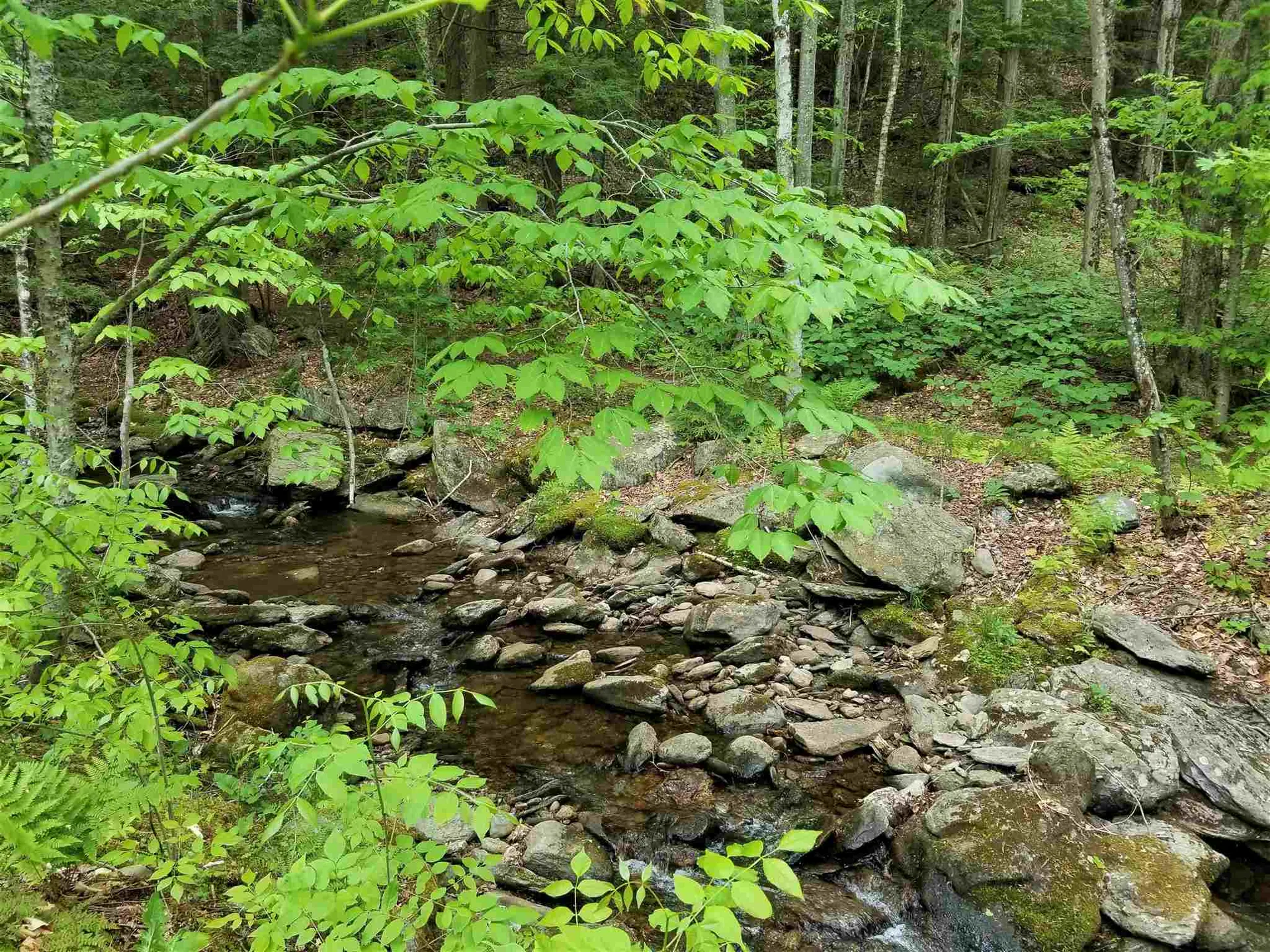 4645 Battleground Road Fayston VT 05673