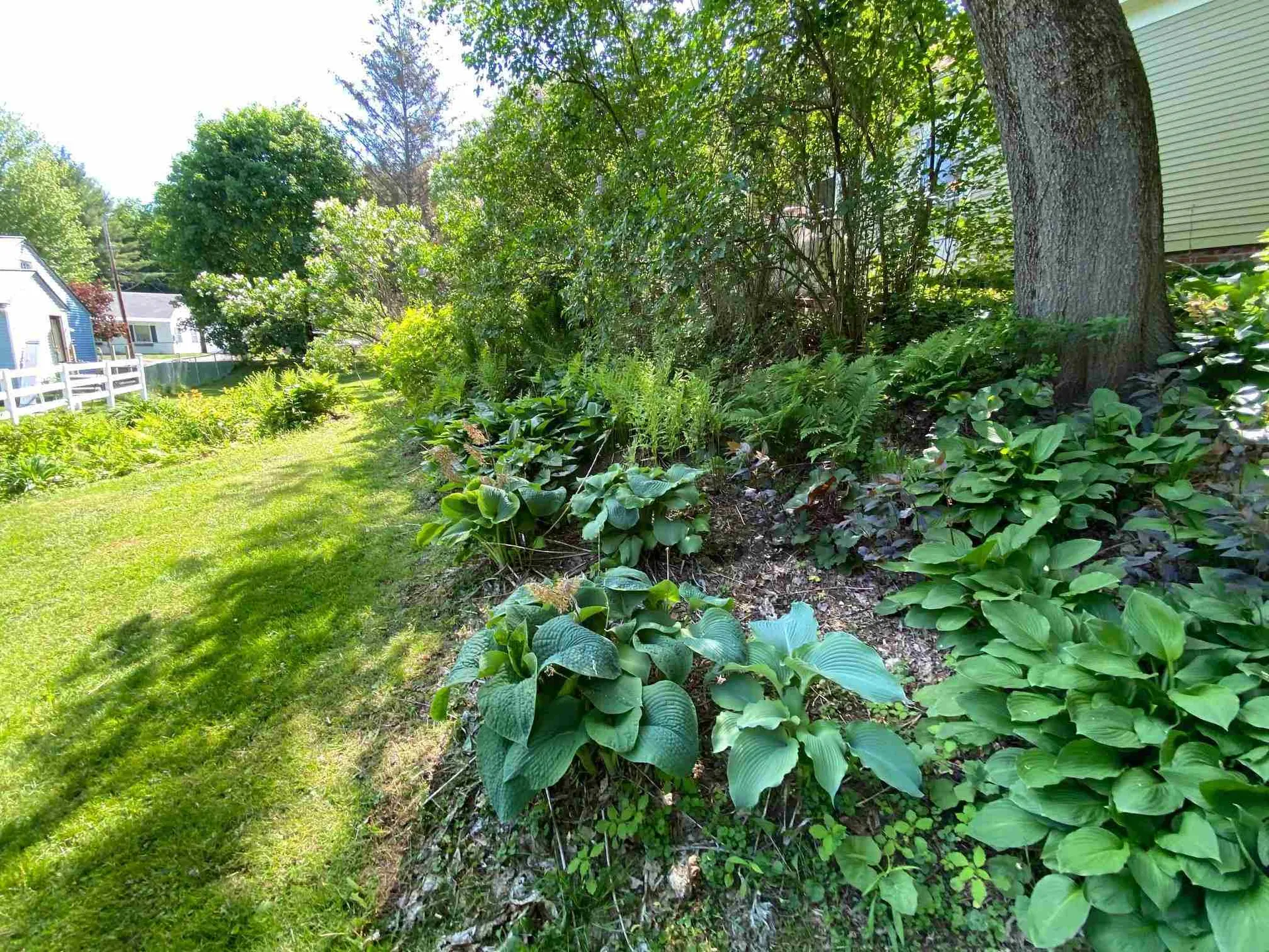 41 Chase Street Claremont NH 03743