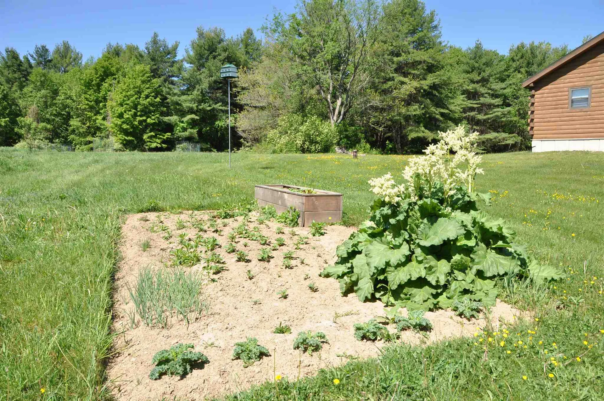 101 Clark Road Orwell VT 05760