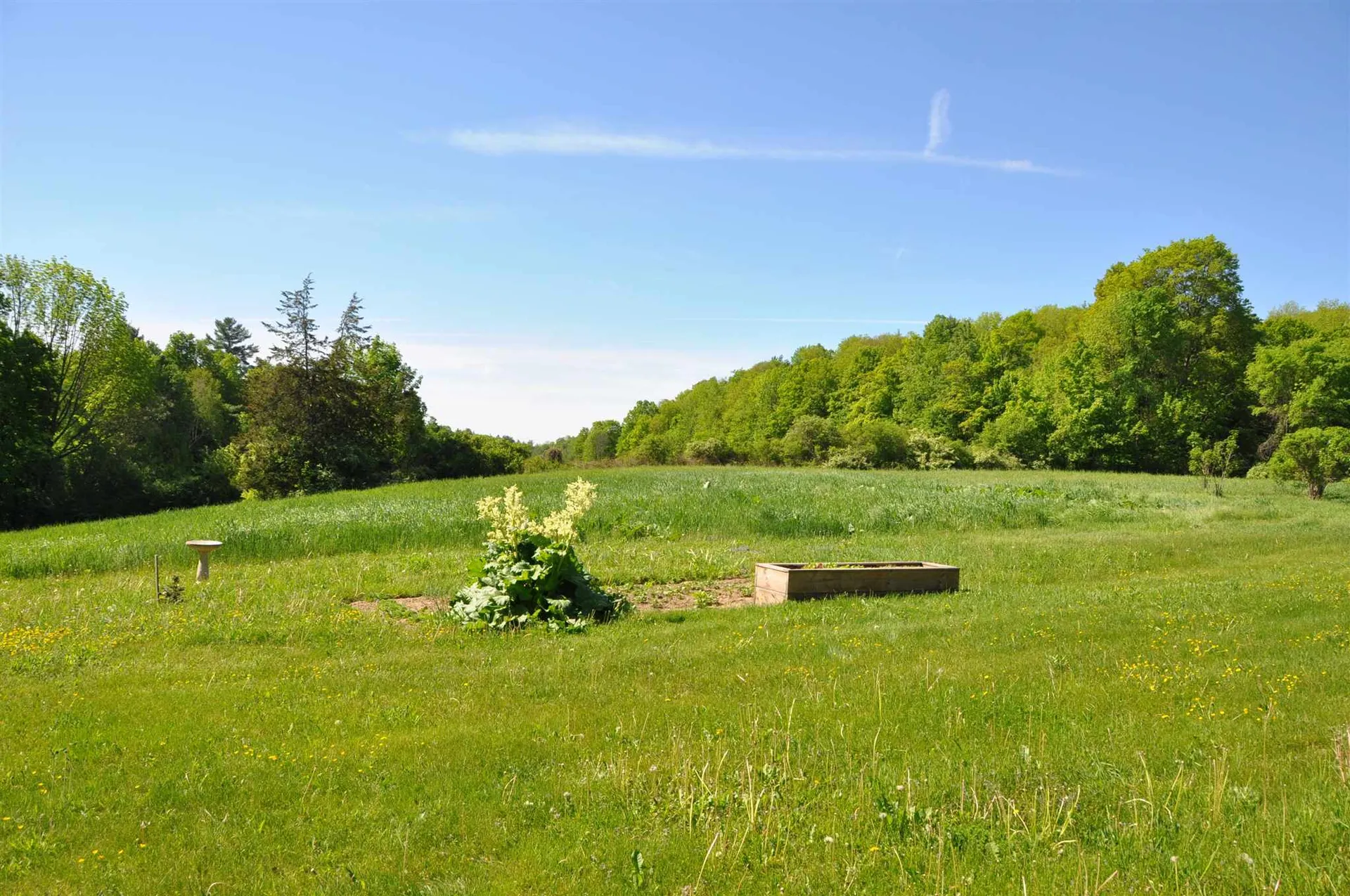 101 Clark Road Orwell VT 05760
