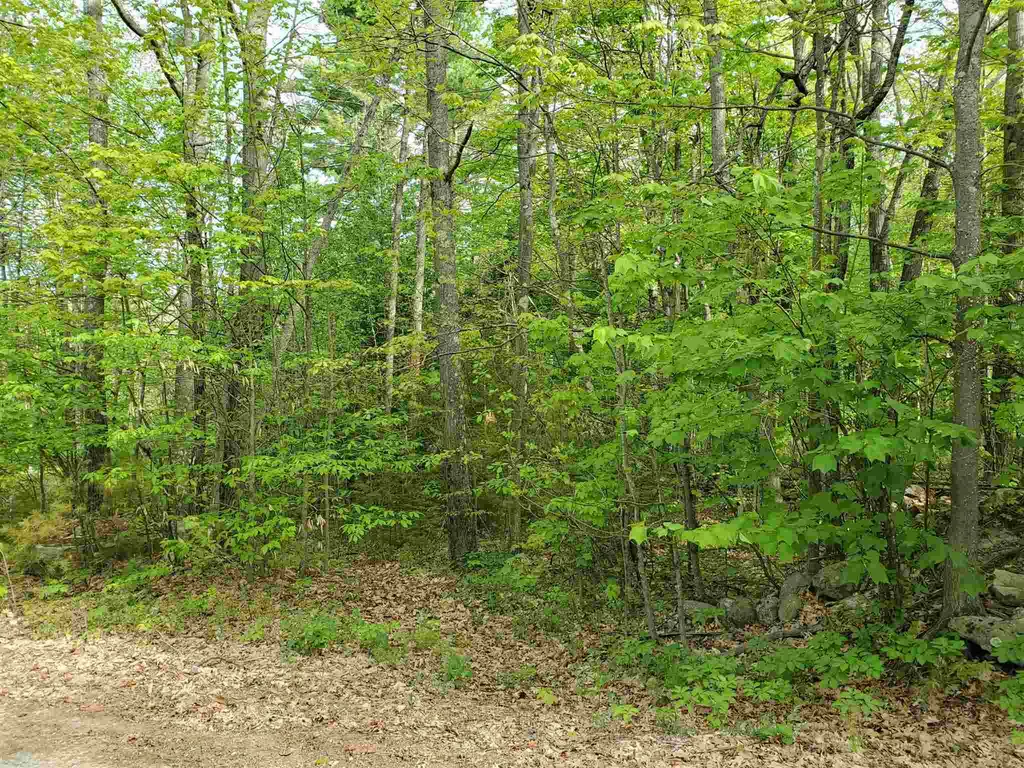 X Talbert Hill Road Canaan NH 03741
