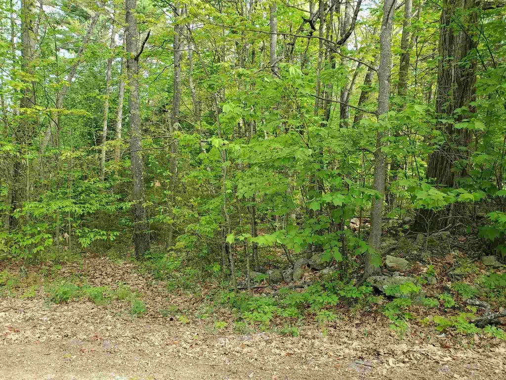 X Talbert Hill Road Canaan NH 03741