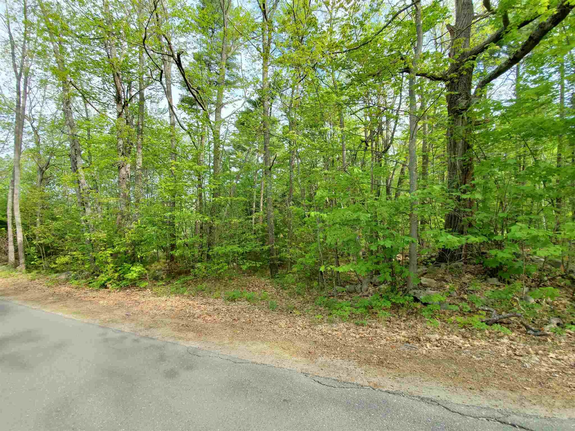 X Talbert Hill Road Canaan NH 03741