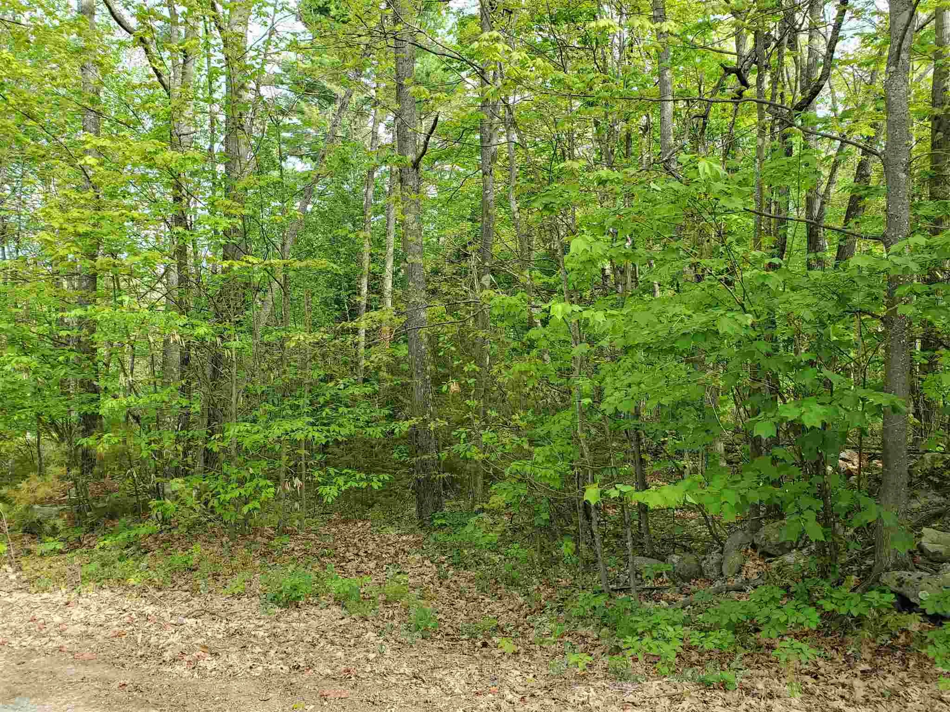 X Talbert Hill Road Canaan NH 03741