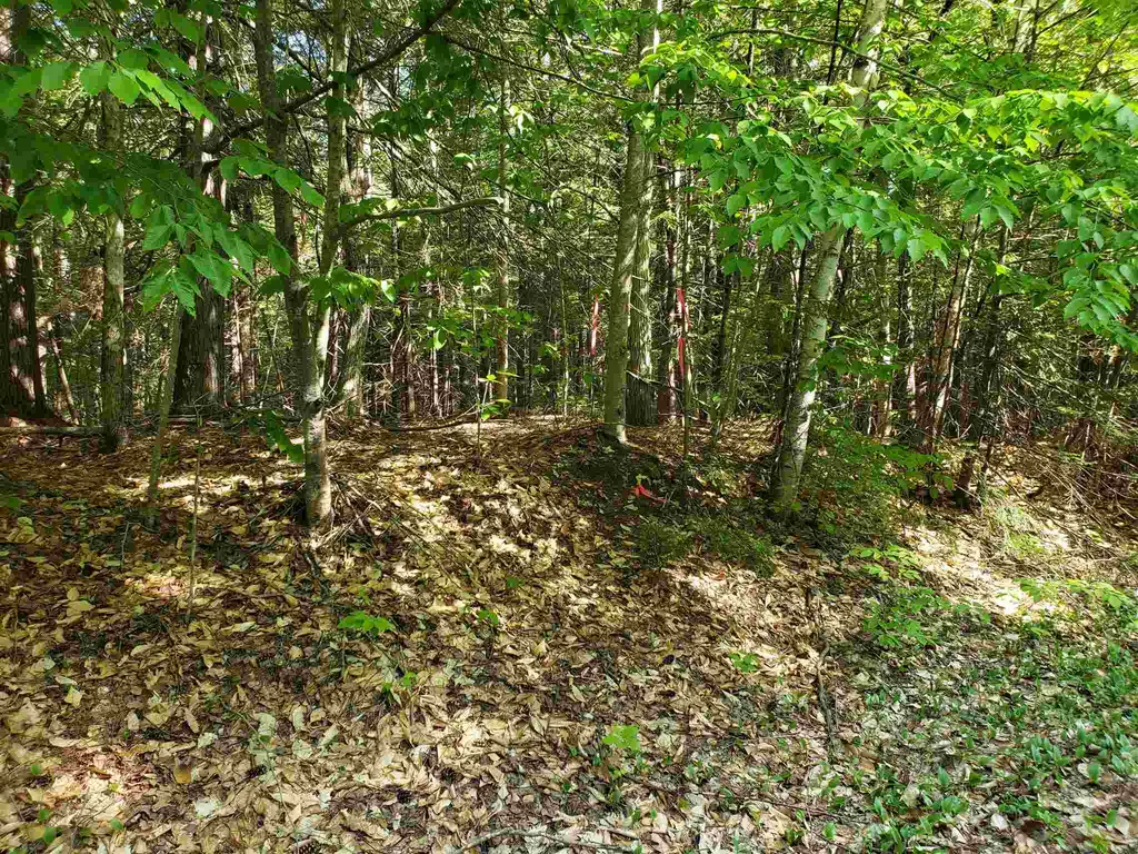 94b Gallahad Lane Bristol NH 03222