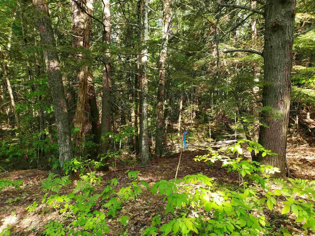 94b Gallahad Lane Bristol NH 03222