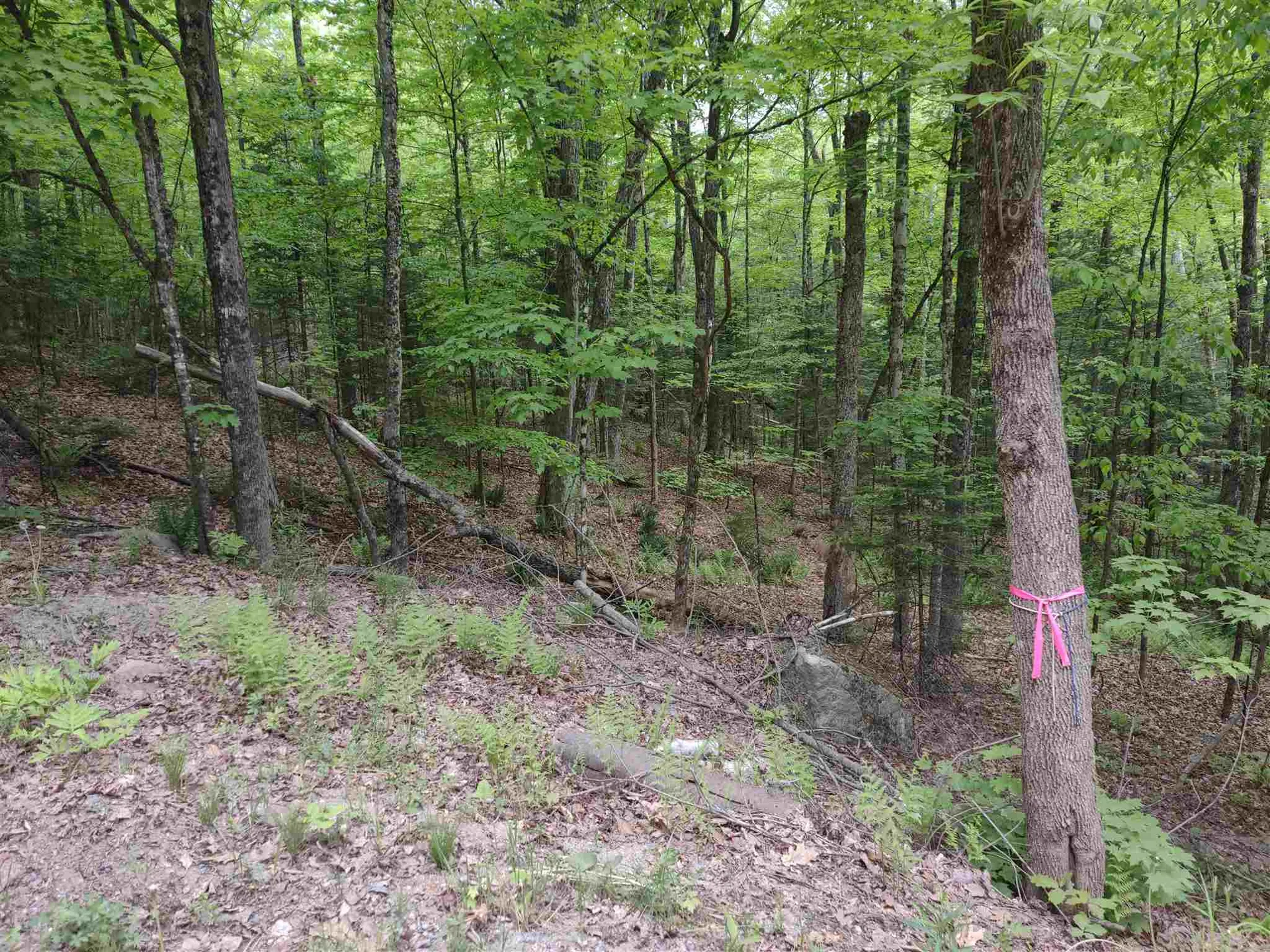 Lot 257 Kearsarge Drive Haverhill NH 03765