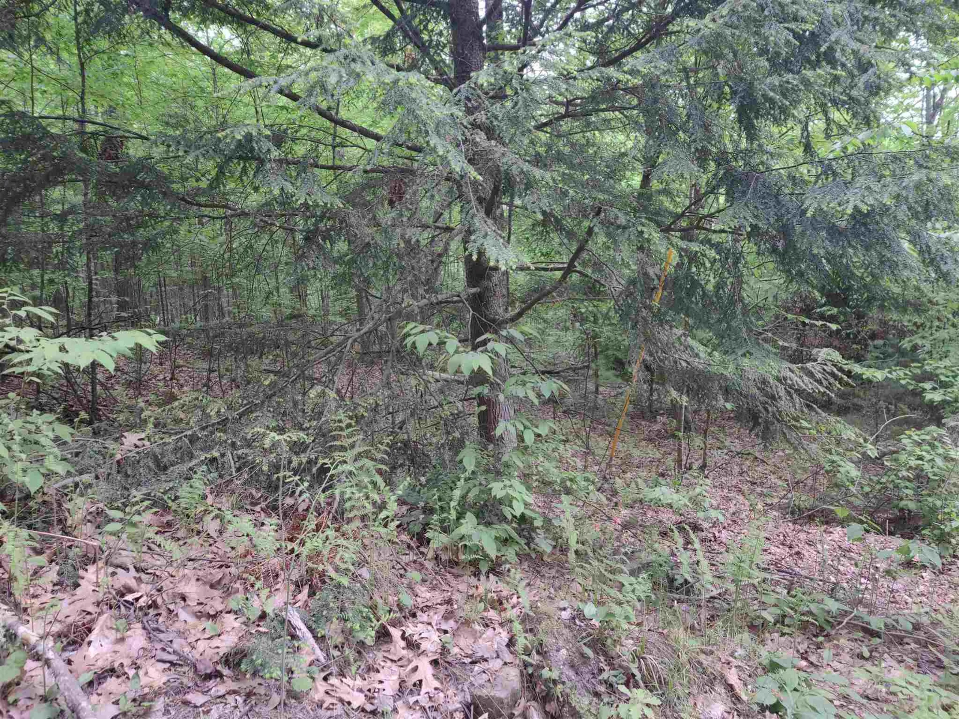 Lot 257 Kearsarge Drive Haverhill NH 03765