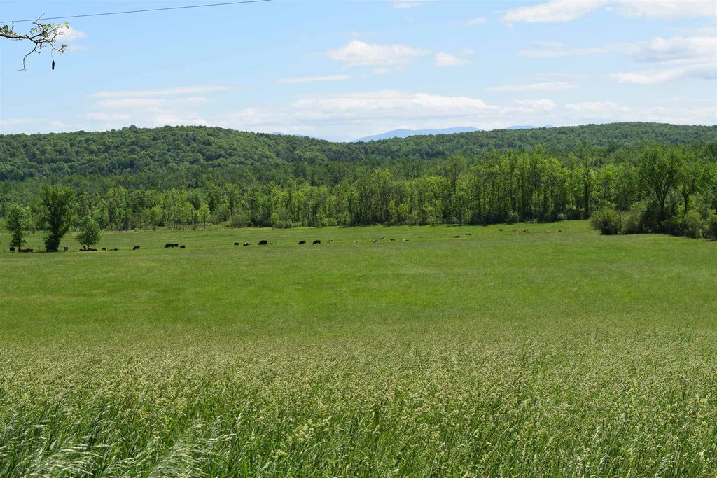631 North Cream Hill Road Shoreham VT 05770
