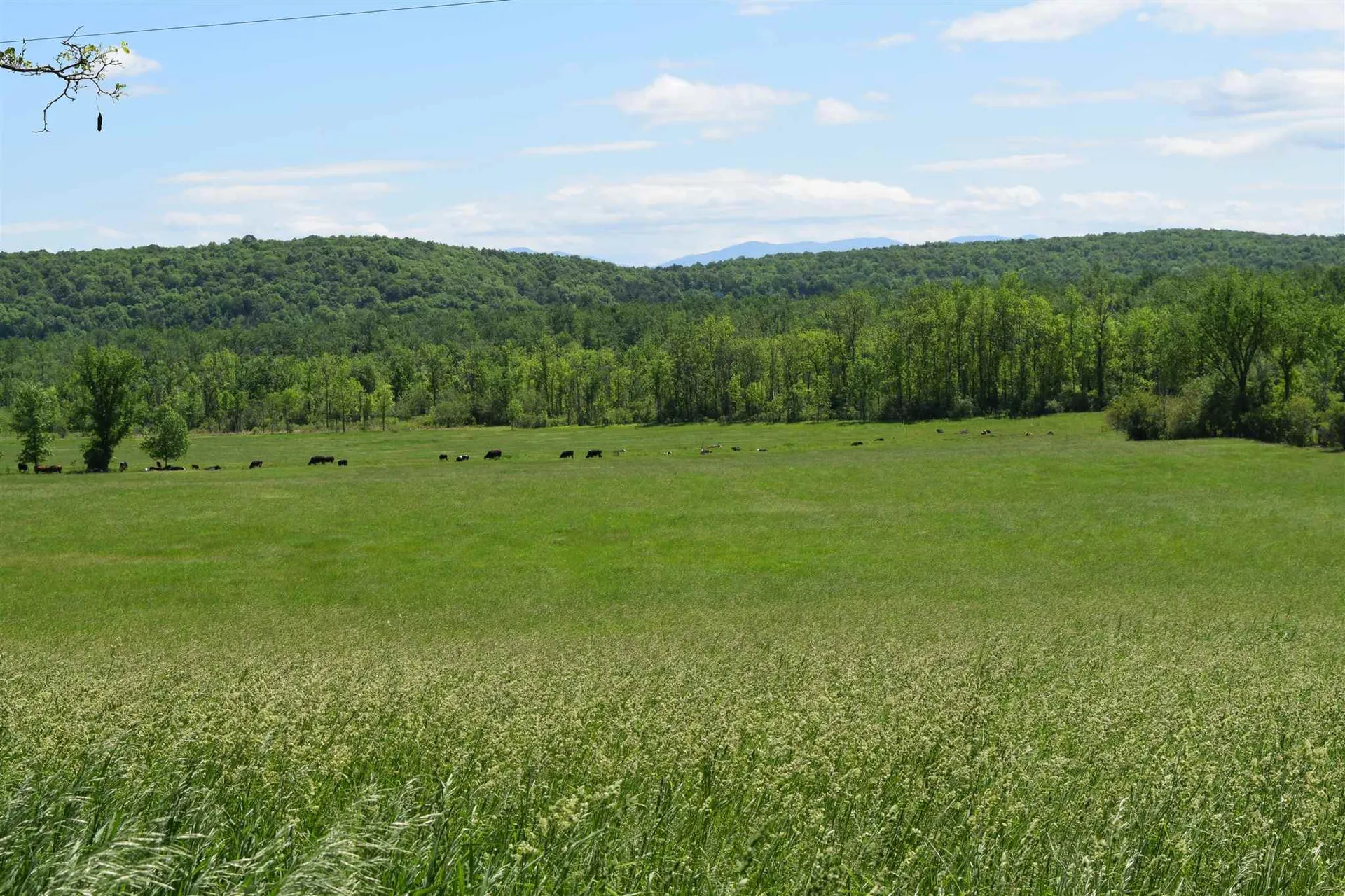 631 North Cream Hill Road Shoreham VT 05770