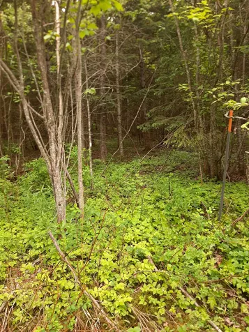 140 Border View Drive Pittsburg NH 03592