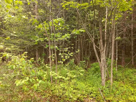 140 Border View Drive Pittsburg NH 03592
