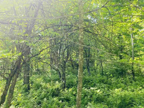 135 May Pond Road Barton VT 05822