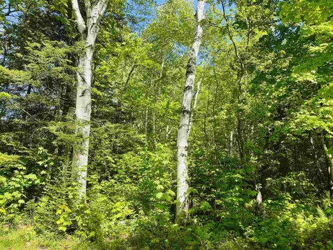 135 May Pond Road Barton VT 05822