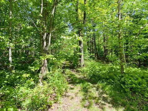 135 May Pond Road Barton VT 05822