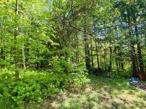 135 May Pond Road Barton VT 05822