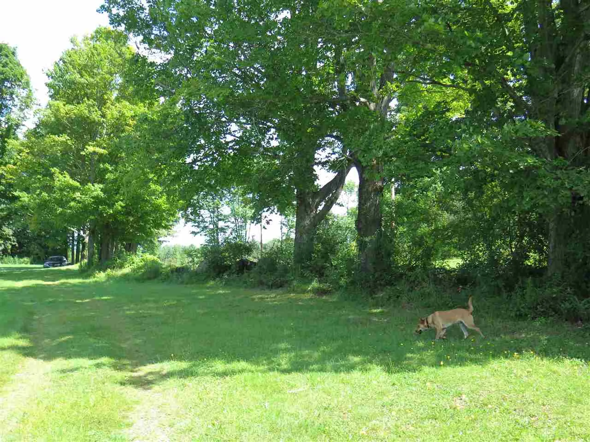 360 School Road Barre Town VT 05641