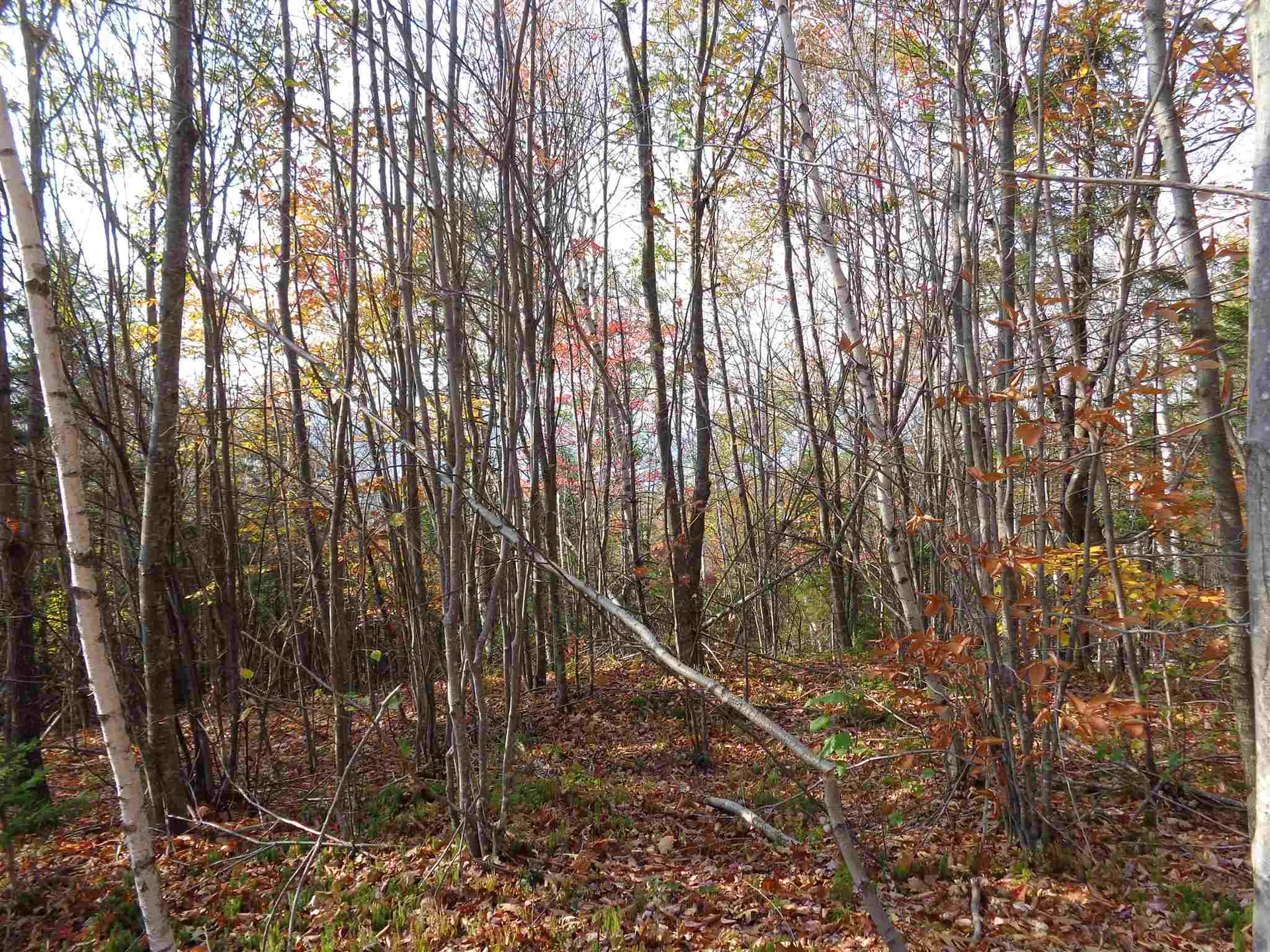 Lot 3 Hemlock Brook Road Bristol NH 03222