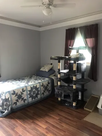 160 Tracy Drive Burlington VT 05401