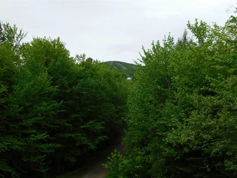23 Hummingbird Lane Wilmington VT 05363