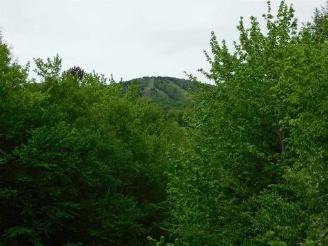 23 Hummingbird Lane Wilmington VT 05363