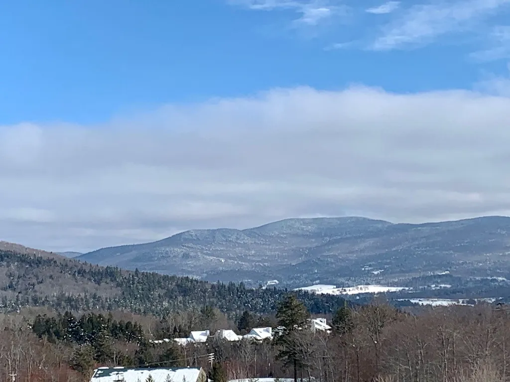 102 Forest 224 / Iv Drive Warren VT 05674