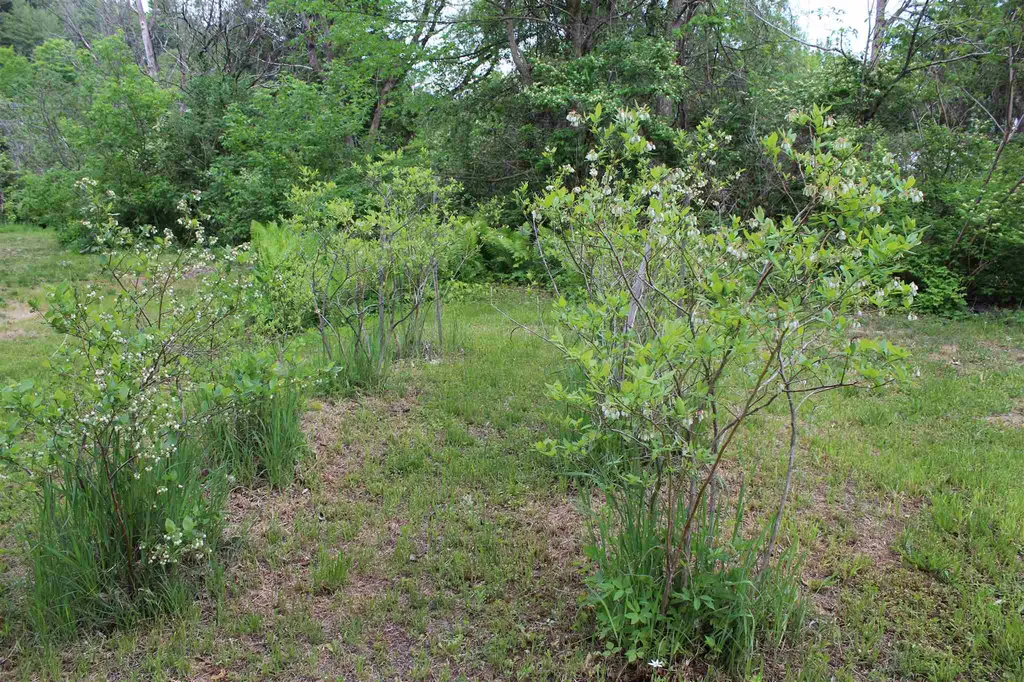 2626 E Woodstock Road Woodstock VT 05091
