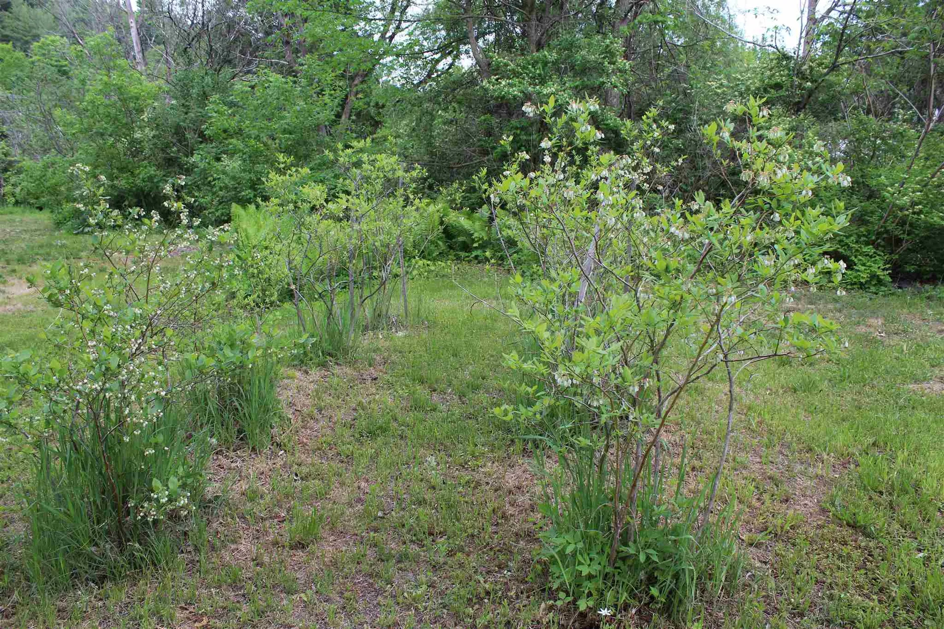 2626 E Woodstock Road Woodstock VT 05091