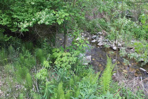 2626 E Woodstock Road Woodstock VT 05091