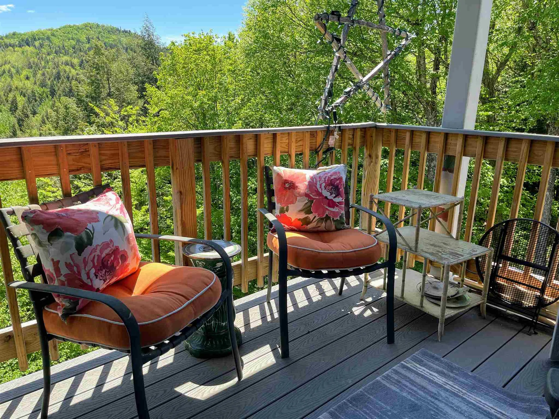 42 Lower Phase Road Warren VT 05674