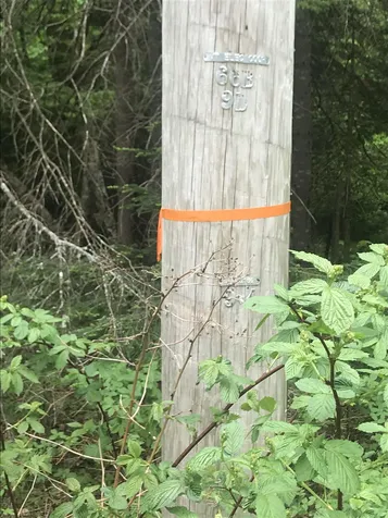 74 Antler Loop Dover VT 05356