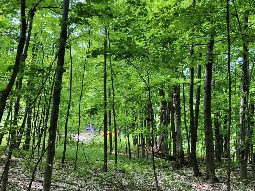 Lot 3 Mason Hill North Starksboro VT 05487