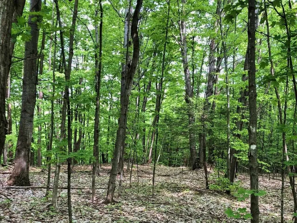 Lot 3 Mason Hill North Starksboro VT 05487