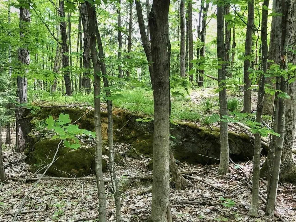 Lot 3 Mason Hill North Starksboro VT 05487