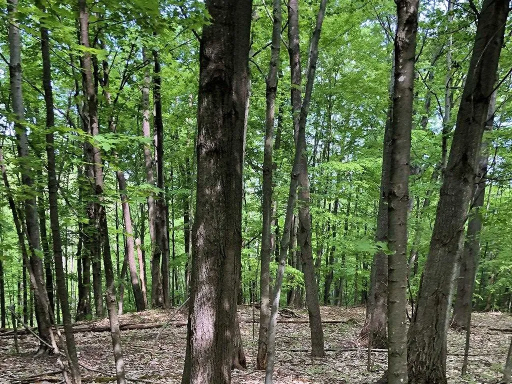 Lot 3 Mason Hill North Starksboro VT 05487