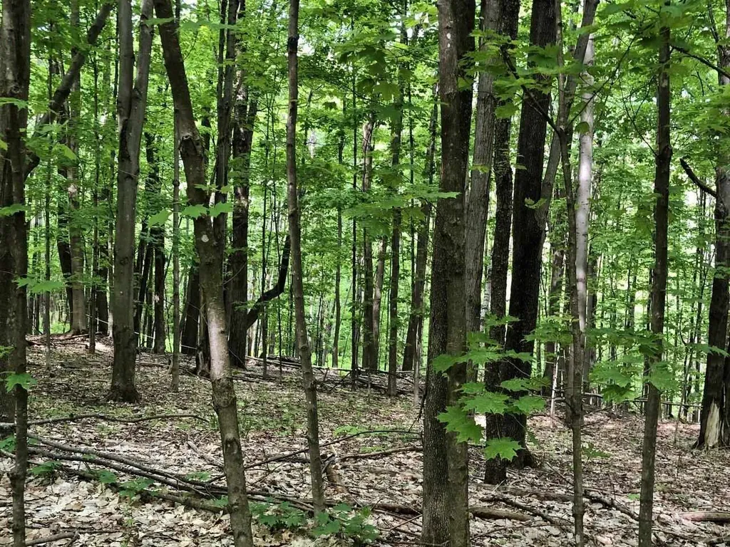 Lot 3 Mason Hill North Starksboro VT 05487