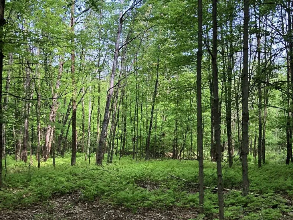 Lot 3 Mason Hill North Starksboro VT 05487