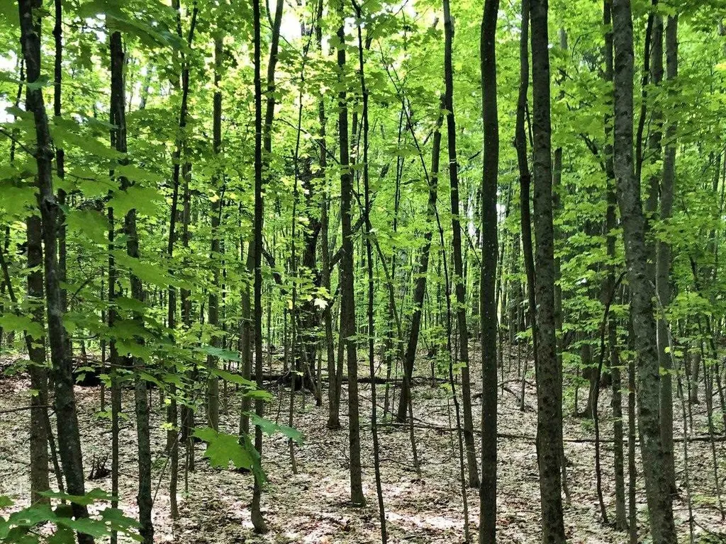 Lot 2 Mason Hill North Starksboro VT 05487