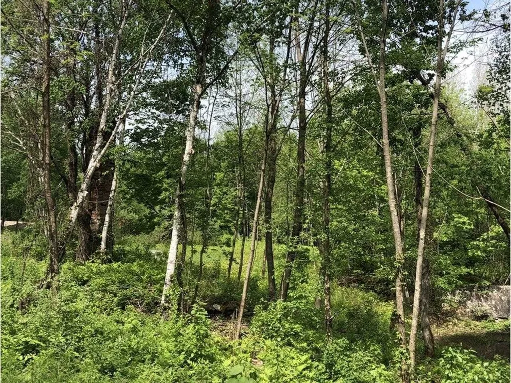 Lot 2 Mason Hill North Starksboro VT 05487