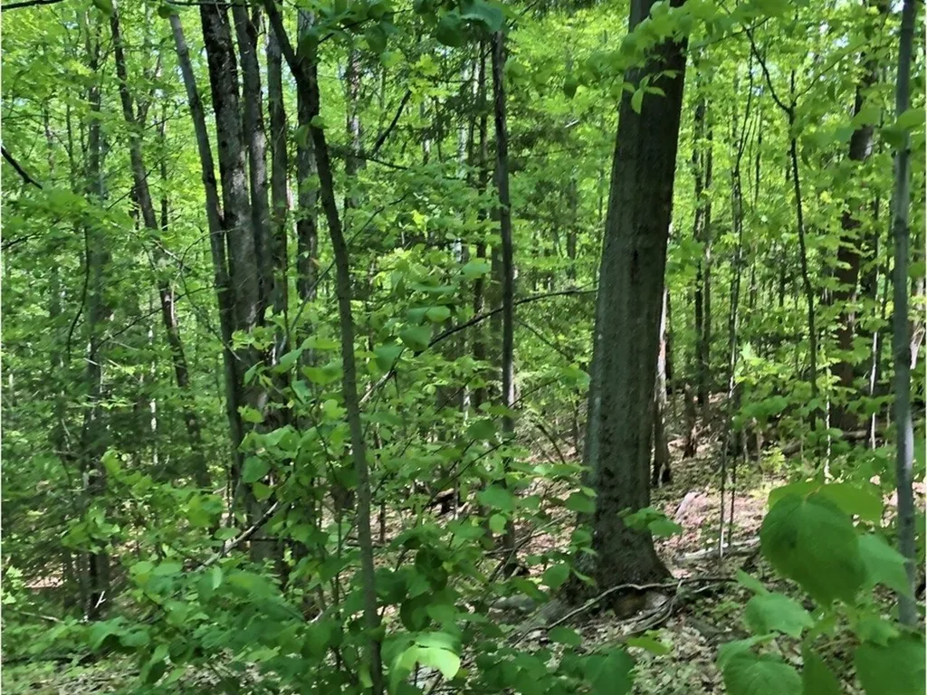 Lot 2 Mason Hill North Starksboro VT 05487