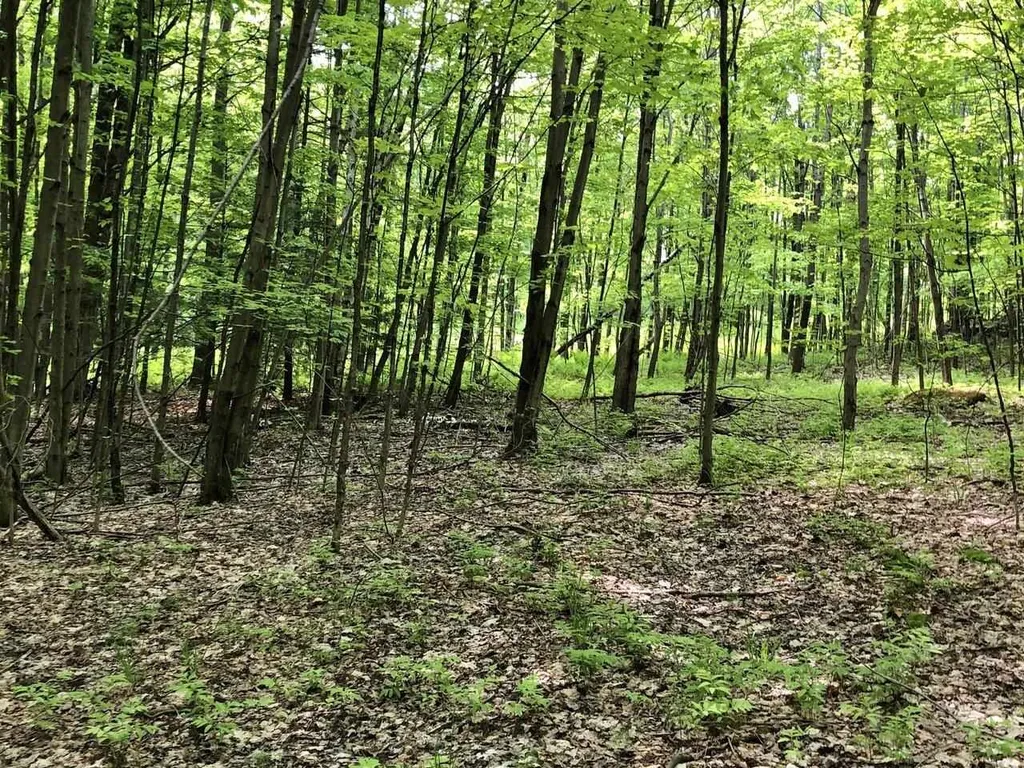 Lot 2 Mason Hill North Starksboro VT 05487