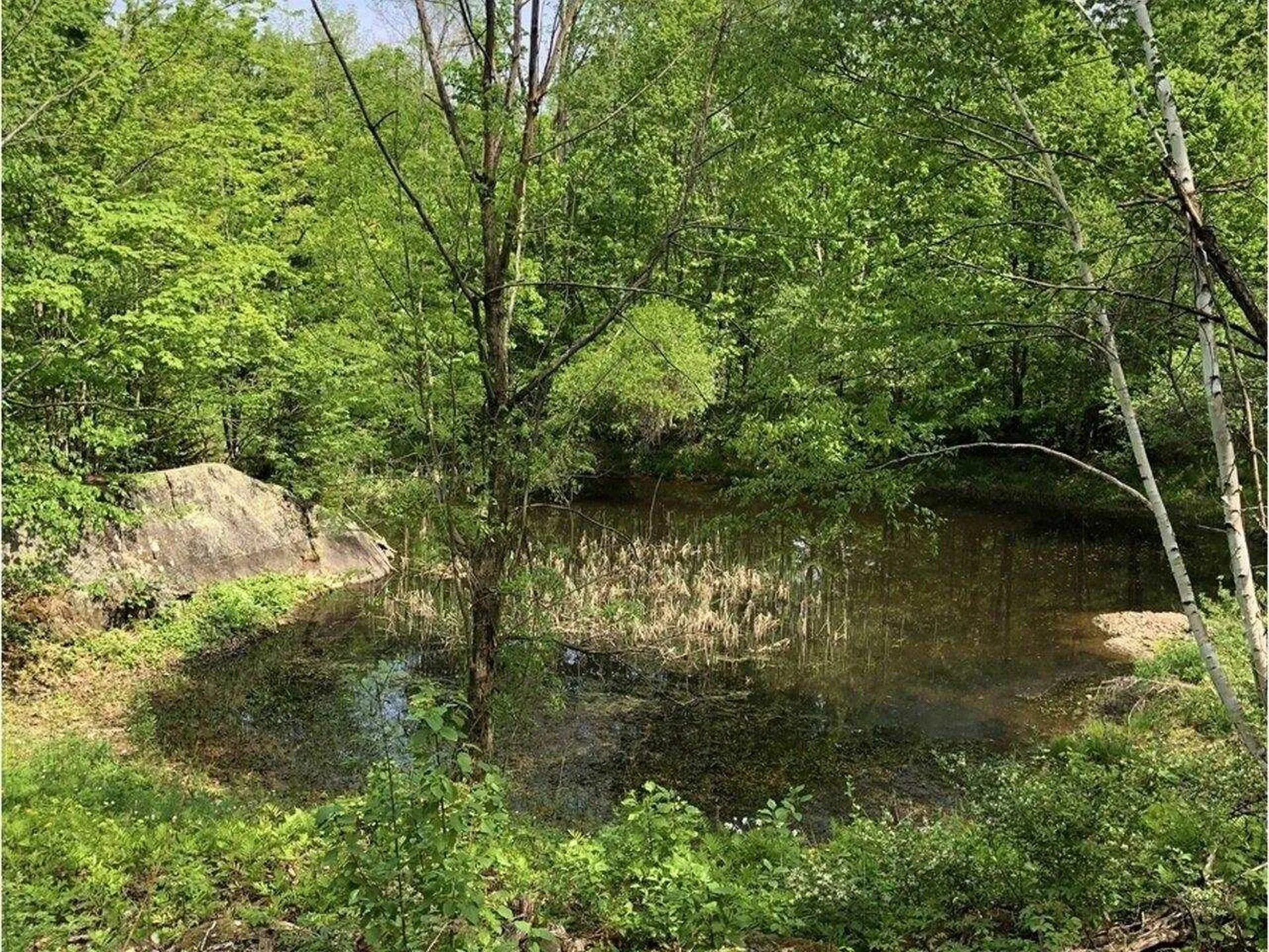 Lot 2 Mason Hill North Starksboro VT 05487