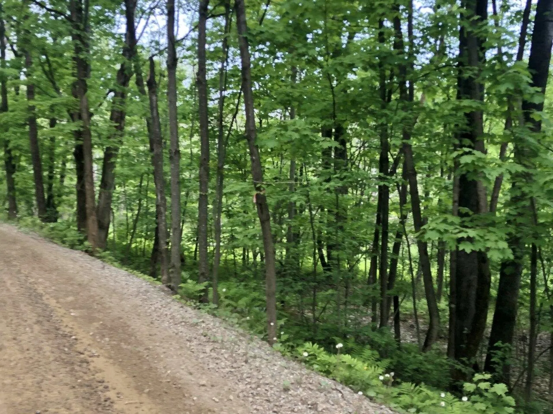 Lot 2 Mason Hill North Starksboro VT 05487