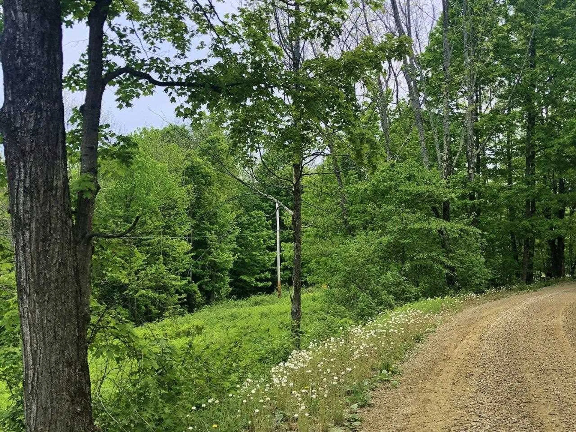 Lot 2 Mason Hill North Starksboro VT 05487