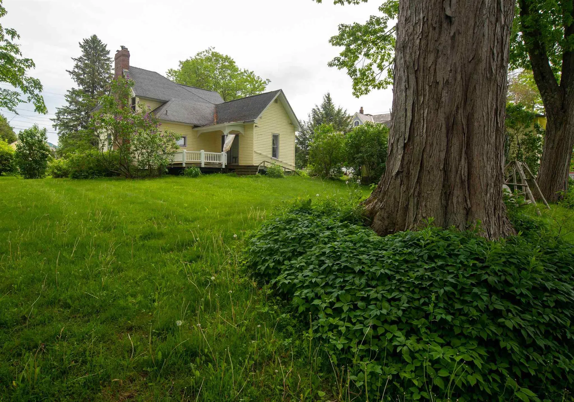 41 Randall Street Waterbury VT 05676