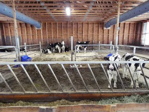5 Sanville Road Irasburg VT 05845