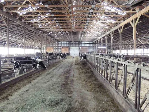 5 Sanville Road Irasburg VT 05845