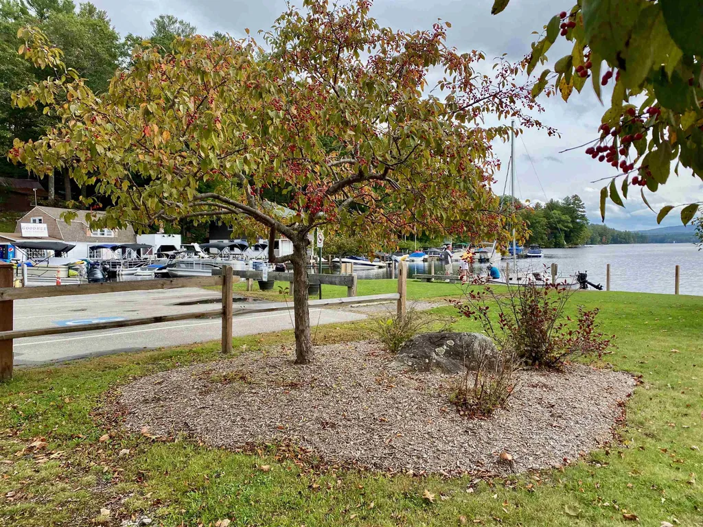 81 Fernwood Point Road Sunapee NH 03782